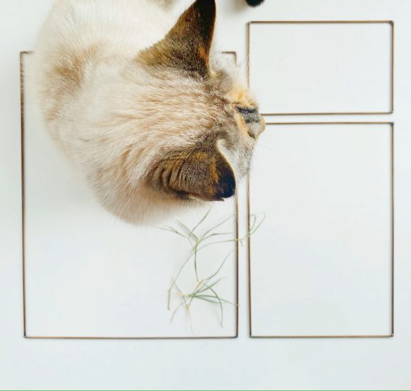 Rectangular Crafting Frame – Made in Canada - Image 5